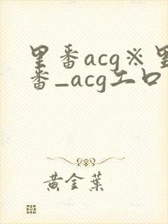 里番acg※里番_acg工口