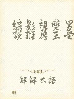 综影视双男主小说推荐主受