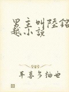 男主叫陆铭的穿越小说