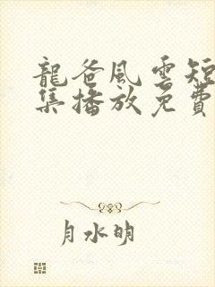 龙爸风云短剧全集播放免费观看高清