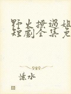 野火撩过姐姐心短剧全集免费观看