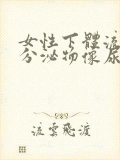 女性下体流水状分泌物像尿了一样怎么回事