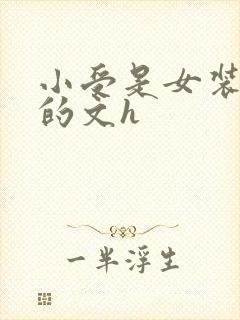 小受是女装大佬的文h