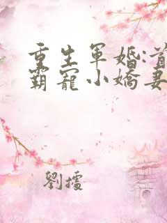 重生军婚:首长霸宠小娇妻