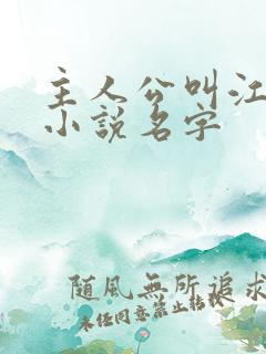 主人公叫江晨的小说名字