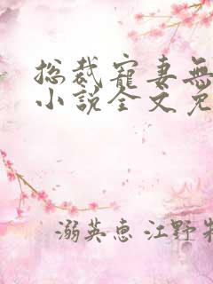 总裁宠妻无下限小说全文免费阅读