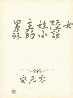 男主姓陆女主姓苏的小说