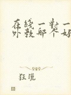 在线一对一英语外教哪个好