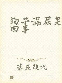 狗子漏尿是怎么回事