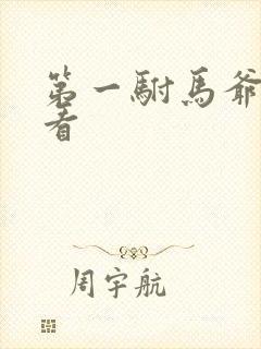 第一驸马爷在哪看