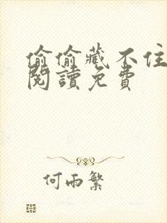 偷偷藏不住在线阅读免费