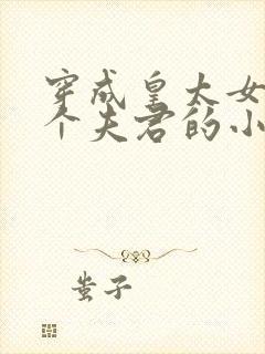 穿成皇太女有五个夫君的小说结局