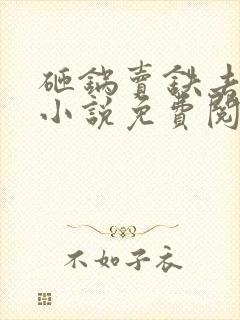 砸锅卖铁去上学小说免费阅读免费