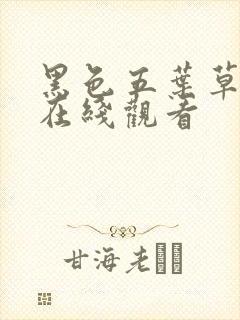 黑色五叶草全集在线观看