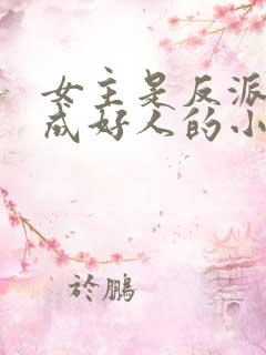 女主是反派却装成好人的小说