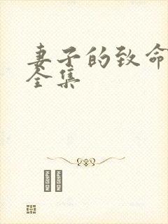 妻子的致命谎言全集