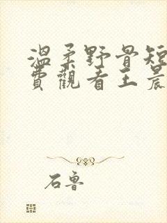 温柔野骨短剧免费观看王晨鹏