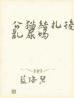 公猫结扎后还会乱尿吗