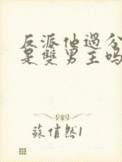 反派他过分美丽是双男主吗