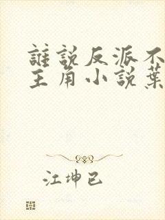 谁说反派不能当主角小说叶玄