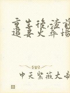 重生后,渣前夫追妻火葬场