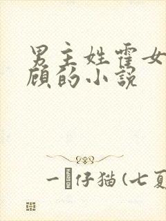 男主姓霍女主姓顾的小说