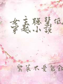 女主聪慧低调的穿越小说