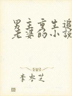 男主重生追前世老婆的小说