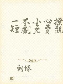 一不小心撩错人短剧免费观看全集