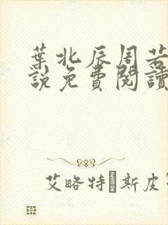 叶北辰周若妤小说免费阅读完整版