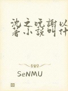 沈之晚谢以安原著小说叫什么