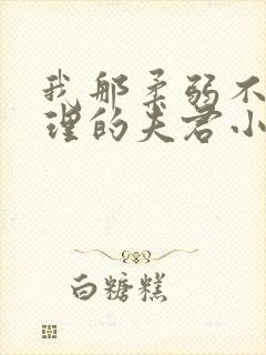 我那柔弱不能自理的夫君小说无广告