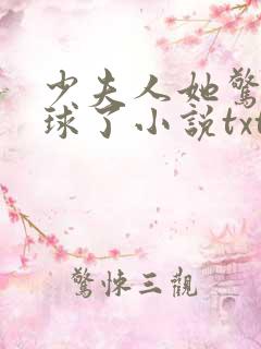 少夫人她惊艳全球了小说txt