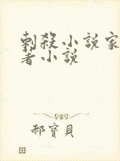 刺杀小说家的原著小说