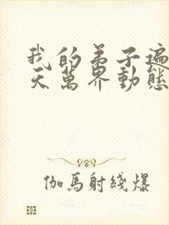 我的弟子遍布诸天万界动态漫免费全集