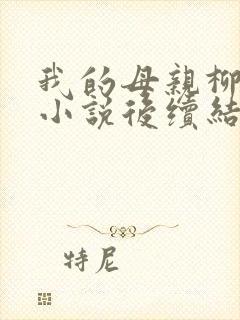 我的母亲柳若曦小说后续结局