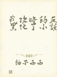 我攻略的反派都黑化了小说无弹窗