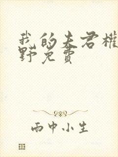 我的夫君权倾朝野免费