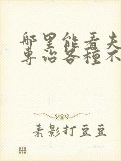 哪里能看夫人她专治各种不服