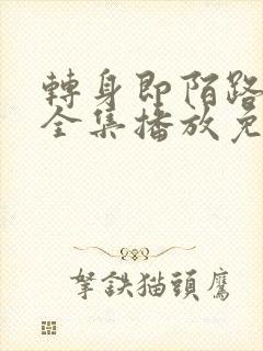 转身即陌路短剧全集播放免费观看