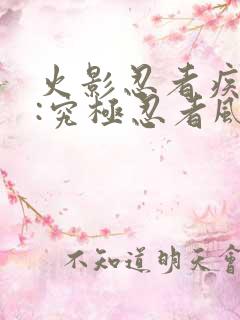 火影忍者疾风传:究极忍者风暴2