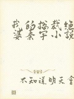 我的总裁绝色老婆秦宇小说免费阅读