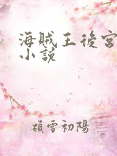 海贼王后宫同人小说