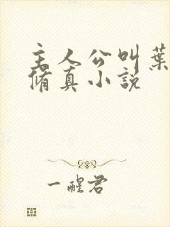 主人公叫叶欢的修真小说