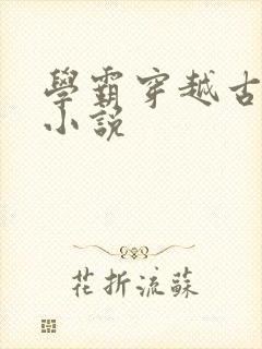 学霸穿越古代的小说