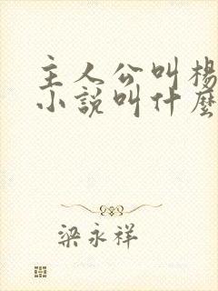 主人公叫杨洛的小说叫什么名字