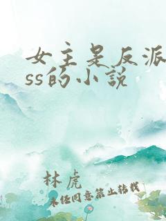 女主是反派boss的小说