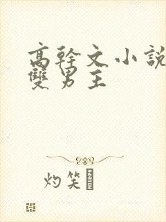 高干文小说推荐双男主