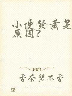 小便发黄是什么原因?