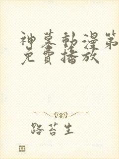 神墓动漫第一季免费播放